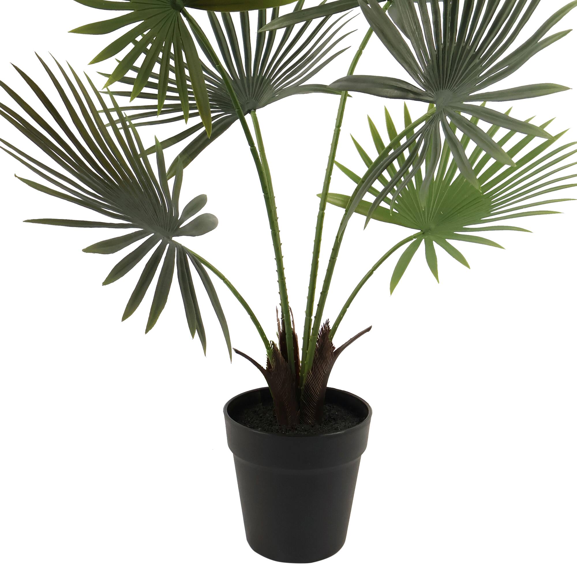 24" Potted Green Fan Palm Plant by Ashland®